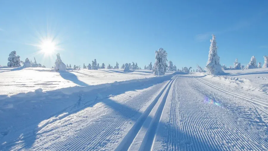 Längdskidspår vid Trysil-Knut Arena nära Bakkebygrenda 1B